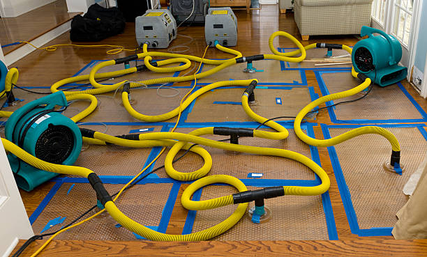 Professional Burst Pipe Water Damage technician working in Hartford, IA